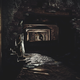 Illustration for article titled The emLast of Us: Remastereds/em New Photo Mode Is Fantastic